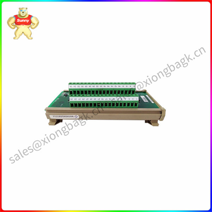 IS200DTAOH1ABA GE DIN导轨接点输入板 