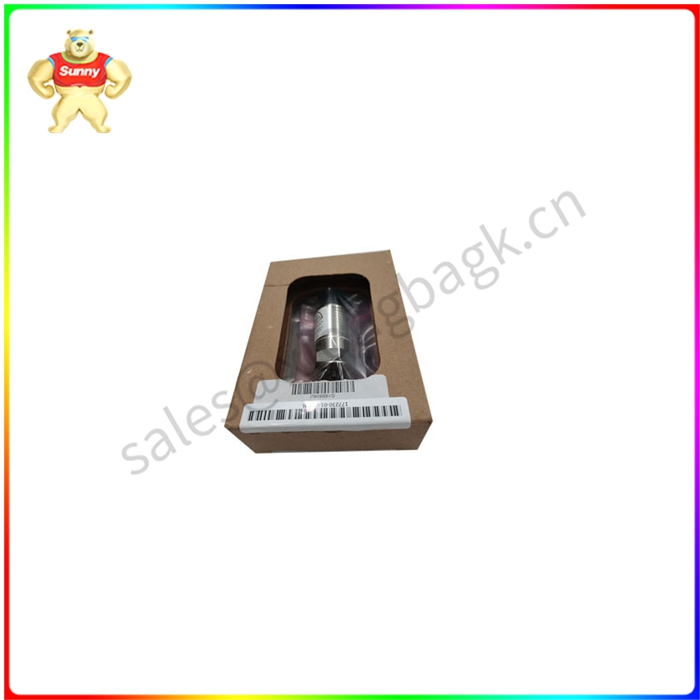 177230-01-01-05 一体式振动传感器探头