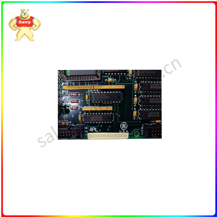 DS200DMCBG1AKG DS215DMCBG1AZZ03A 输入输出模块 