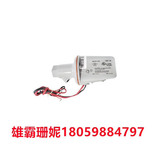 45UV5-1101  FIREYE   火焰检测器 