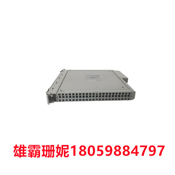 T8403C  ICS TRIPLEX   数字输入模块 