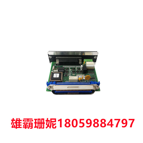 D200175 PMM   METSO   模拟输入电子模块 