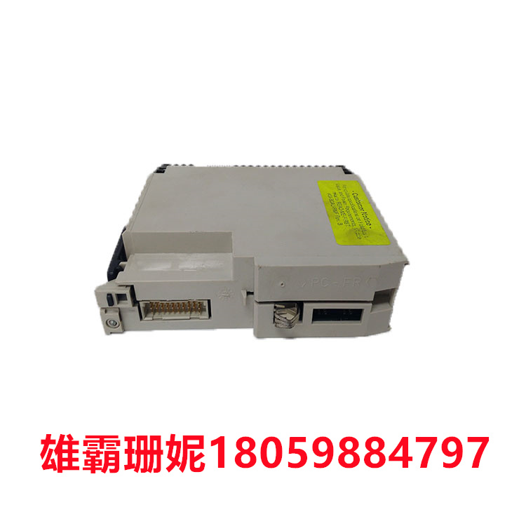 AS-B875-002   Schneider    800 系列 I/O 模块 