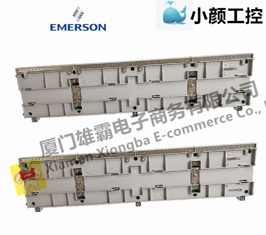 EMERSON CE4001S2T2B4模拟输入输出模块 