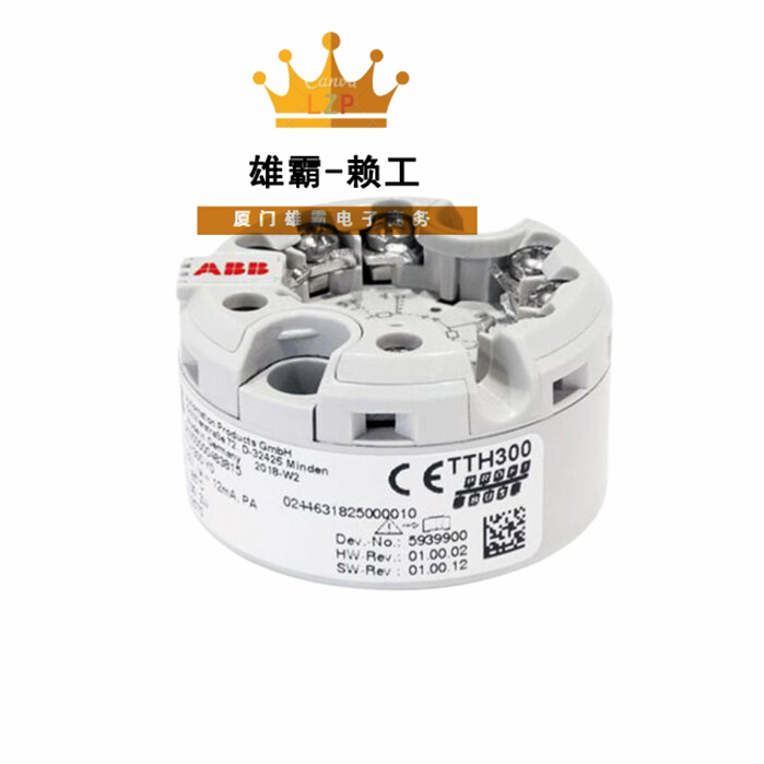 TTH300 ABB 头戴式温度变送器 双通道 有两个传感器输入 