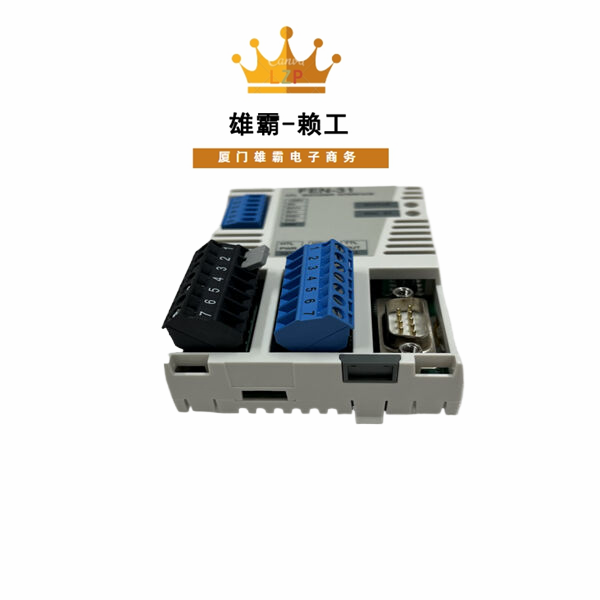 ABB FEN-31中央控制处理单元 