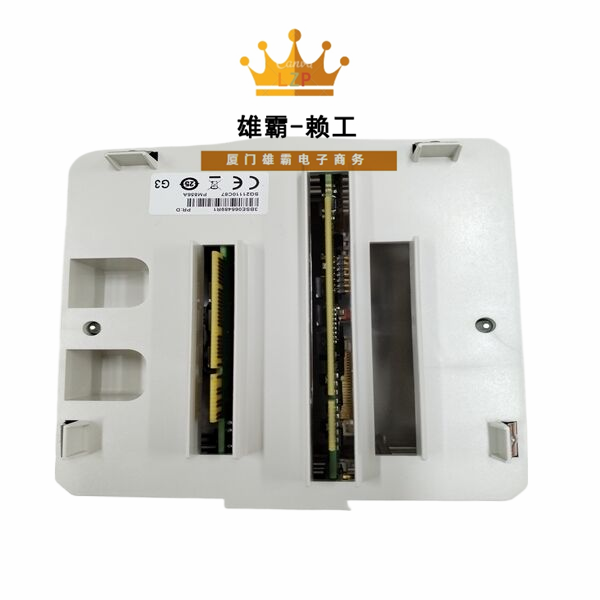 PM856AK01 ABB可编程逻辑控制器（PLC）嵌入式励磁卡件 