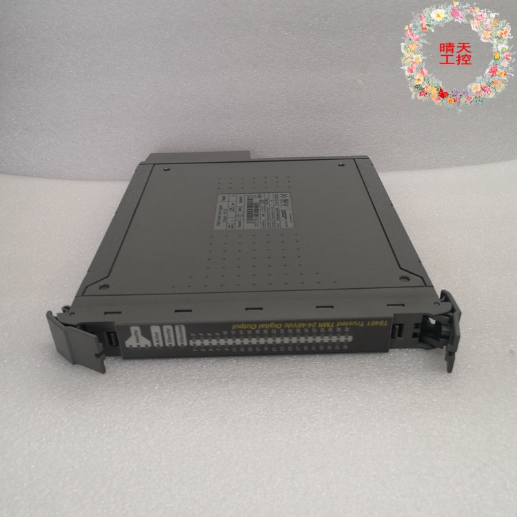 T8461C ICS TRIPLEX 可信TMR 24/48V dc数字输出-40信道 T8461