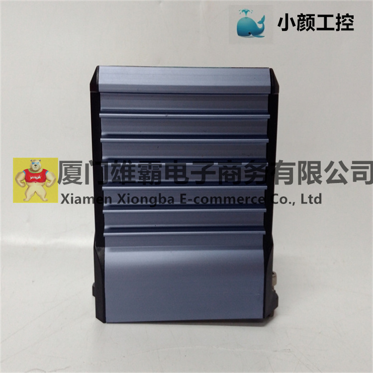 P0917TQ 8 通道 HART 输出模块 