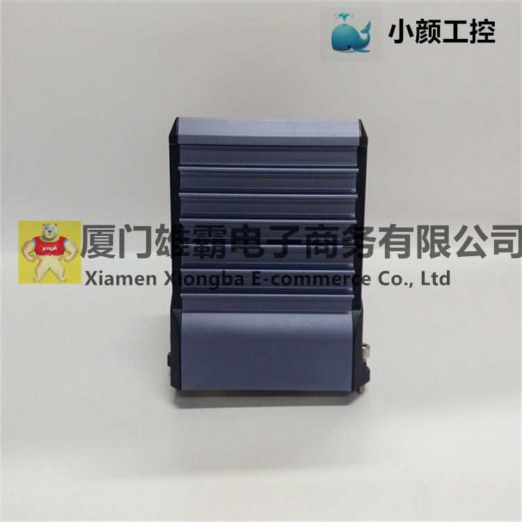 P0917TN 冗余就绪 HART 输入模块 