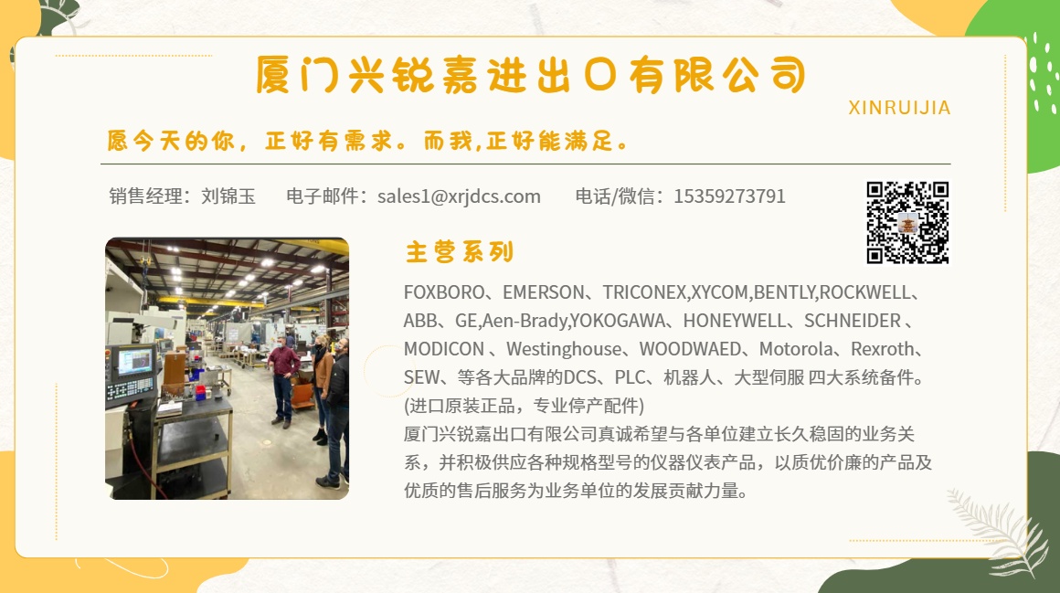 EMERSON A6500-UM 核心模塊 